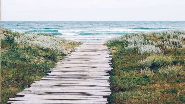 Awaken the Will to Walk Away From False Thoughts and Feelings