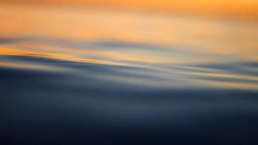 The Perfect Emptiness Found in Full Presence
