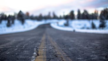 Learning from Painful Experiences