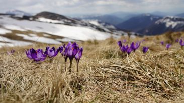 8 Ways to Make You Stronger than Any Evil Spirit