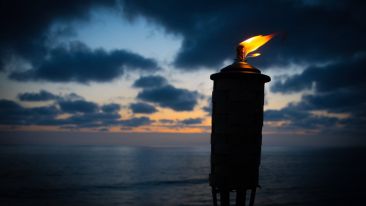 Enter the Flame of Perfect Freedom