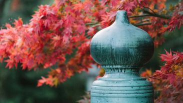 Perfecting Your Part in the Perfection of Life