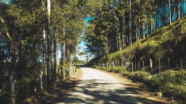 How to Ask For and Receive Perfect Freedom