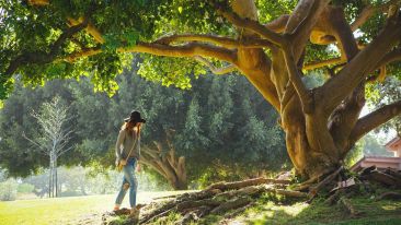 Fulfill the Purpose of Your Existence and Be Free