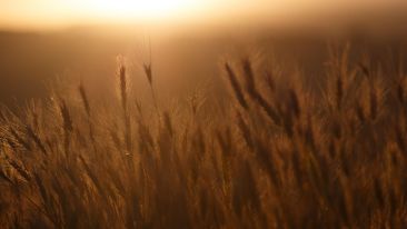 The Hidden Life of Christ