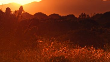 Nothing Comes 'Tomorrow' That Isn't Born in the Here and Now