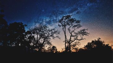 Conscious Talk Radio with Rob Spears