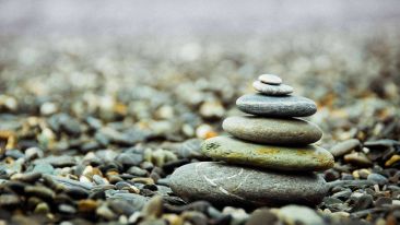 The Mind Aware with Dana Wilde