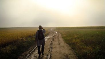 Walk Straight into What You Fear and Be Free