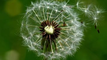 Seek the One Solution that Dissolves Useless Suffering