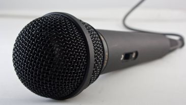 Interview hosted by Greg Voisen (Interview #1)