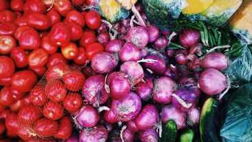 Abundance