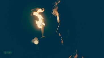 Learn or Burn: It's Your Choice!