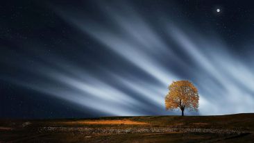 Invite the Light to Free You From the Laws of Self