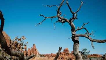 Stop Squandering Your Spiritual Possibilities