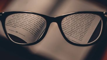 Seek the Sanity of Spiritual Clarity