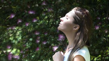 The Secret of Finding True Success in Life