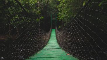 The Bridge of Being