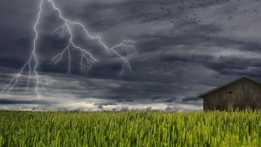 How to Stop Being Dragged Down By Dark Thoughts