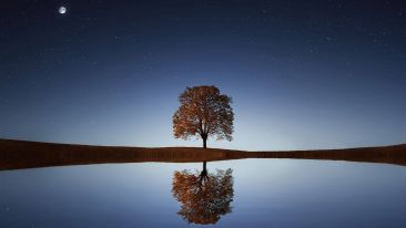 See the Stillness that Sets You Free
