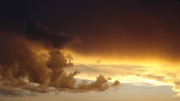 The Triumph of God's Life