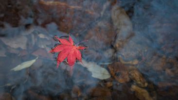 Higher Lessons in Letting Go and Letting God