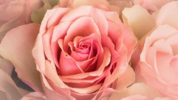 Give Yourself a Chance to Know the Greatest Love of All