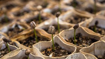 Start Sowing the Seeds of a New Life