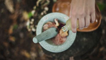 Principles for Perfecting Relationships