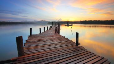 Finding Perfect Freedom