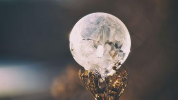 Discover Your Power of Higher Choice (Transcript)