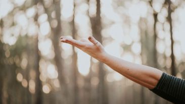 The Secret of Understanding that Makes Painful Events Disappear