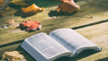 Commentaries on the Christ and True Christianity