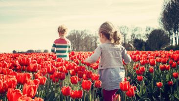 Forty Ways to Determine Your Level of Inner Freedom