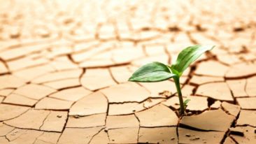The Knowledge that Leads to a New Life
