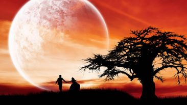 Lessons Only Love Can Teach: Apprentice of the Heart