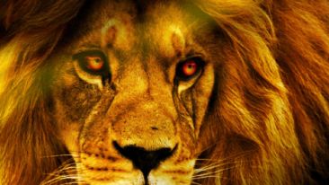 The Freedom to Live Life Fearlessly