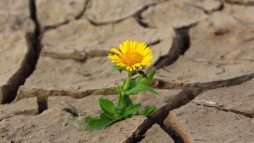 Let What You Like Lead You All the Way to Self-Liberation