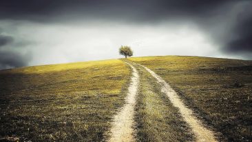 Take the Road
