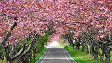 How to Make a Fresh Start in Life!