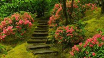 Real Steps to Help You Let Go of Negative States