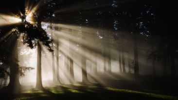 Awaiting the Divine