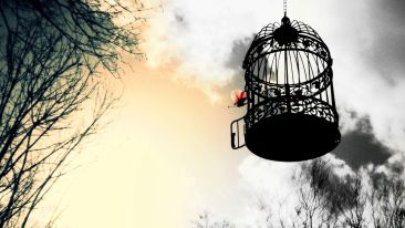 Secrets for Stress-Free Living