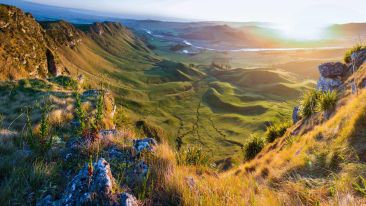 The Secret of Effortless Happiness