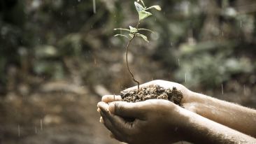 A Magical Prescription for More Positive Living
