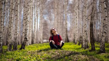 Inviting What is True to Set You Free
