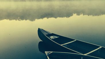 Silence is Golden