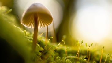 Step Out of the Dark Cycle of Discontent