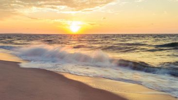 Away the Shores of Your Soul