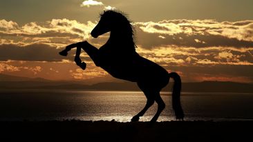Be Stronger Than Anything That Frightens You